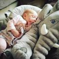 Słoń i Dziecko